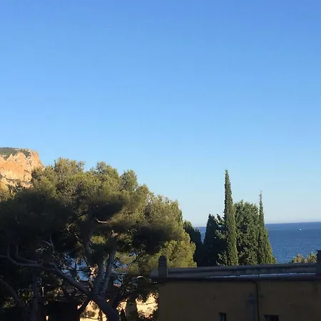 Super Bestouan 카시스